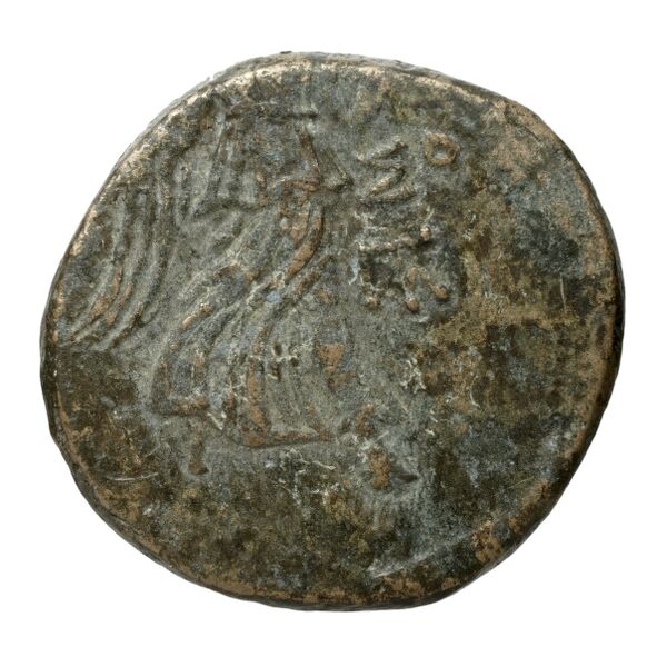 Amisus Waddington 1925 44, реверс, bnf-iris