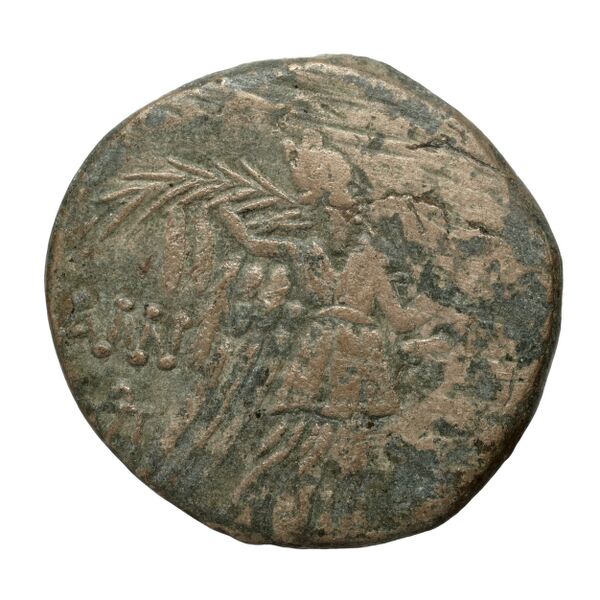 Amisus Waddington 1925 44, реверс, bnf-iris