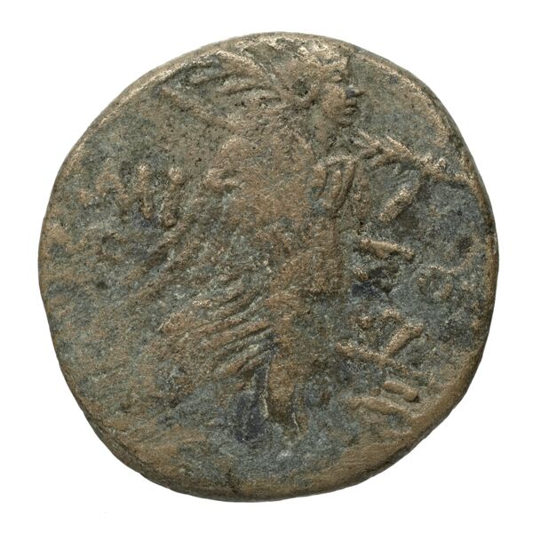 Amisus Waddington 1925 44, реверс, bnf-iris