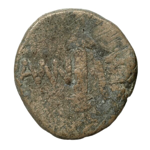 Amisus Waddington 1925 30-31, реверс, bnf-iris