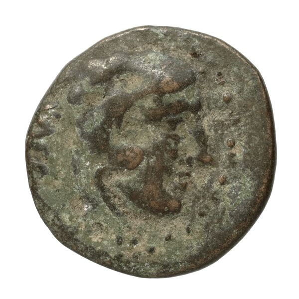 Amyntas III of Macedon Macedon SNG ANS 100-109, аверс, bnf-iris