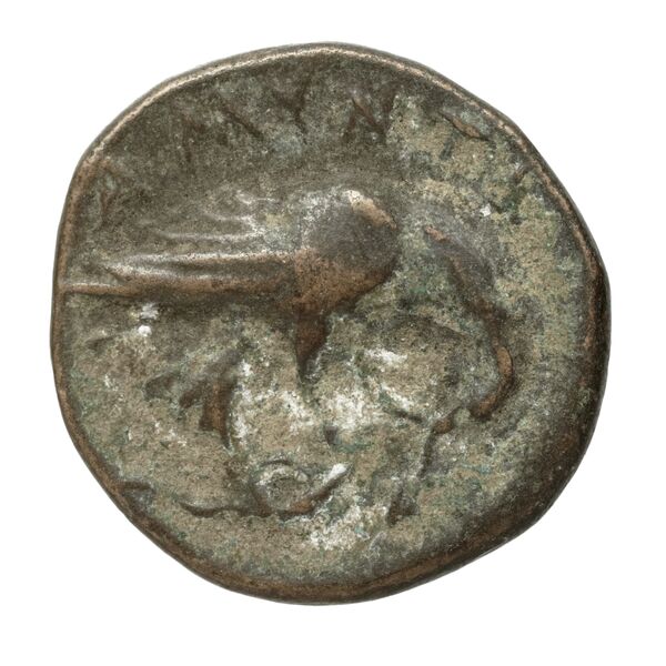 Amyntas III of Macedon Macedon SNG ANS 100-109, реверс, bnf-iris