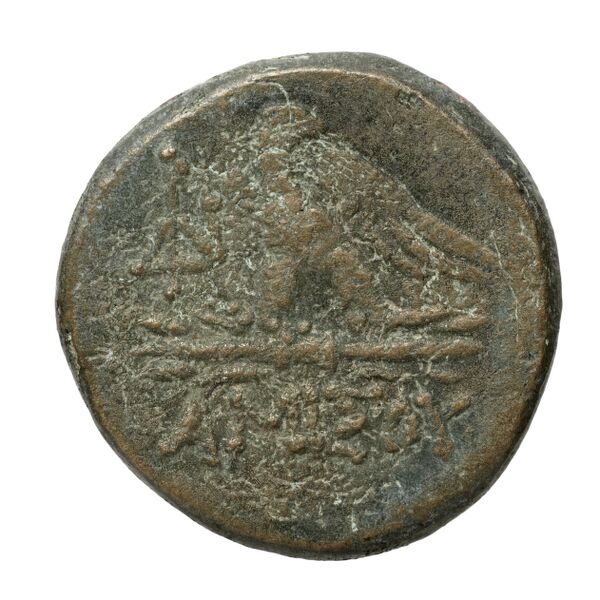 Amisus Waddington 1925 15, реверс, bnf-iris