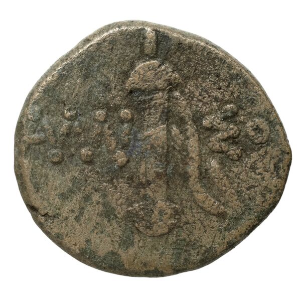 Amisus Waddington 1925 29, реверс, bnf-iris