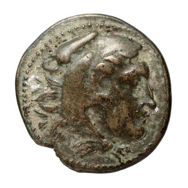 Amyntas III of Macedon Macedon SNG ANS 100-109, аверс, bnf-iris
