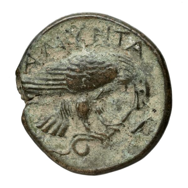 Amyntas III of Macedon Macedon SNG ANS 100-109, реверс, bnf-iris