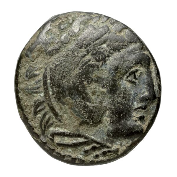 Cassander Macedon AMNG III.2 3-4, аверс, bnf-iris