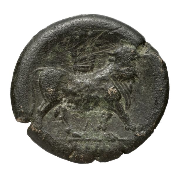 Neapolis Historia Numorum Italy 582, реверс, bnf-iris