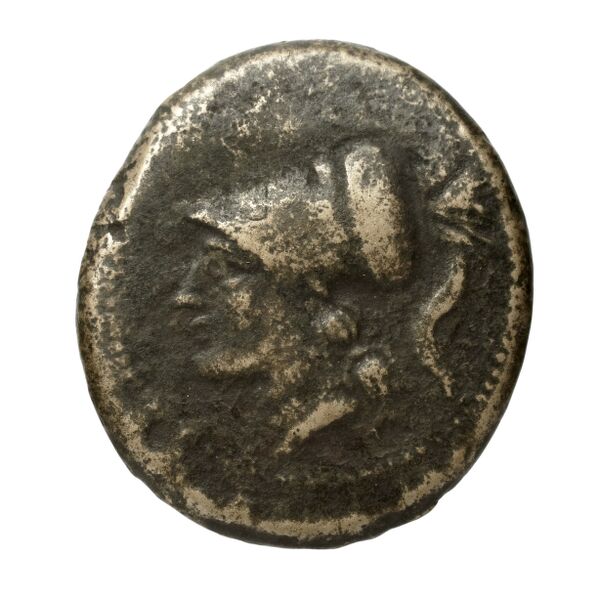 Cales Historia Numorum Italy 435, аверс, bnf-iris