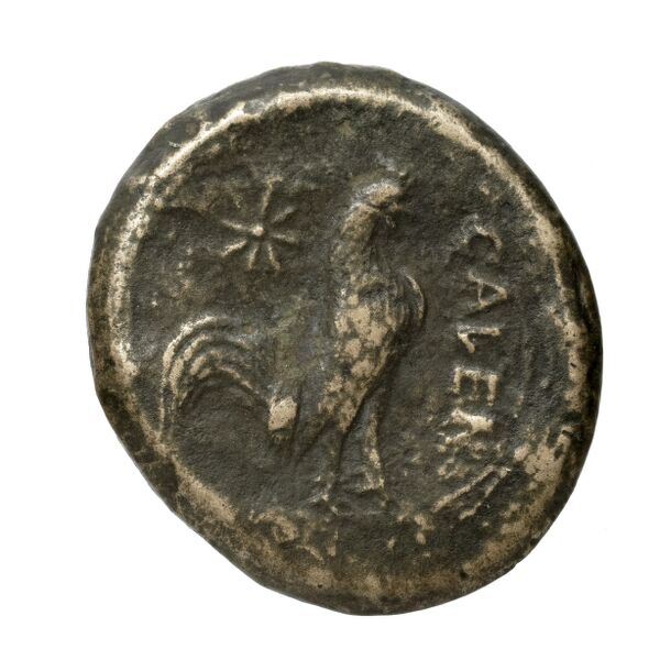 Cales Historia Numorum Italy 435, реверс, bnf-iris