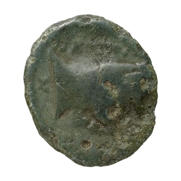 Neapolis Historia Numorum Italy 584, реверс, bnf-iris