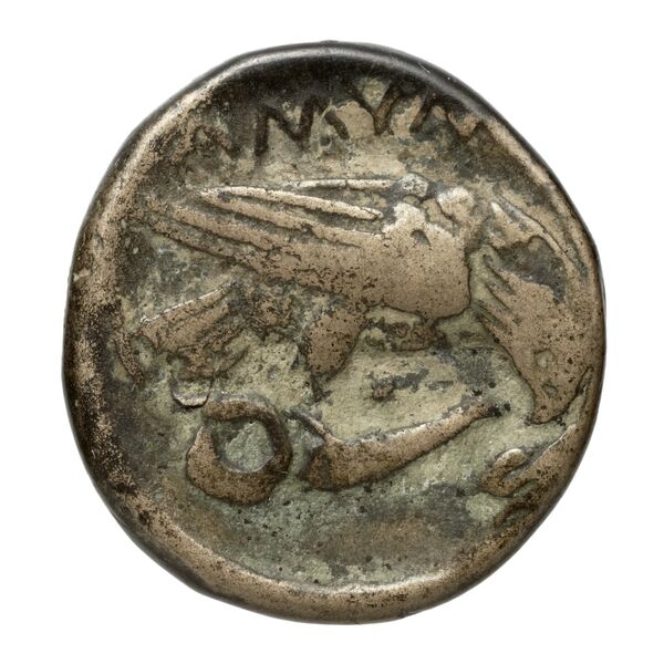 Amyntas III of Macedon Macedon SNG ANS 100-109, реверс, bnf-iris