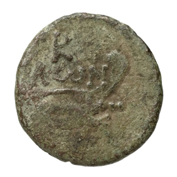 Corcyra BMC Corcyra 482-492_499-507_510-524_526-540_546-548_563-567, реверс, bnf-iris