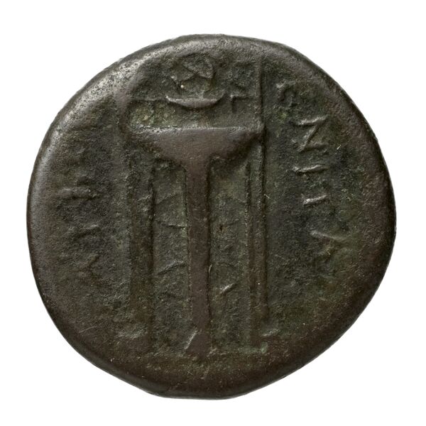Tauromenium Puglisi 2009 371, реверс, bnf-iris