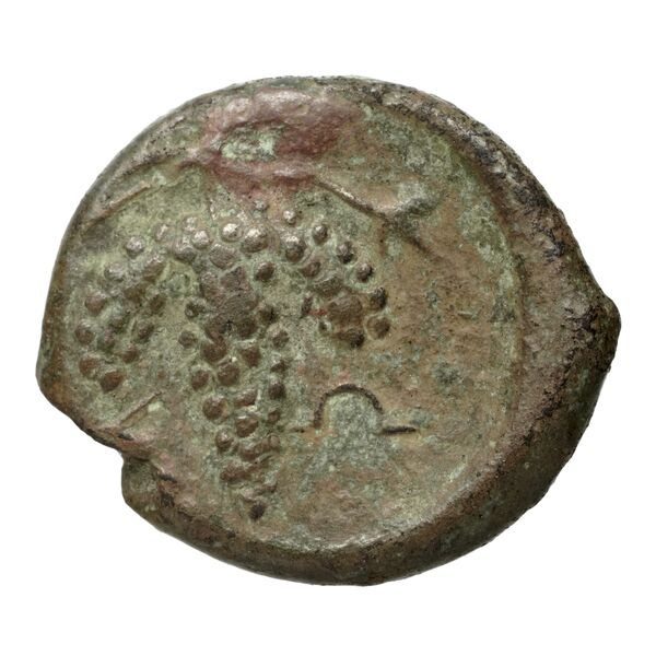 Corcyra BMC Corcyra 102-116_146-168, реверс, bnf-iris