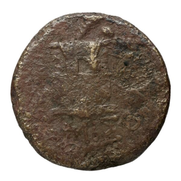 Amisus Waddington 1925 24, реверс, bnf-iris