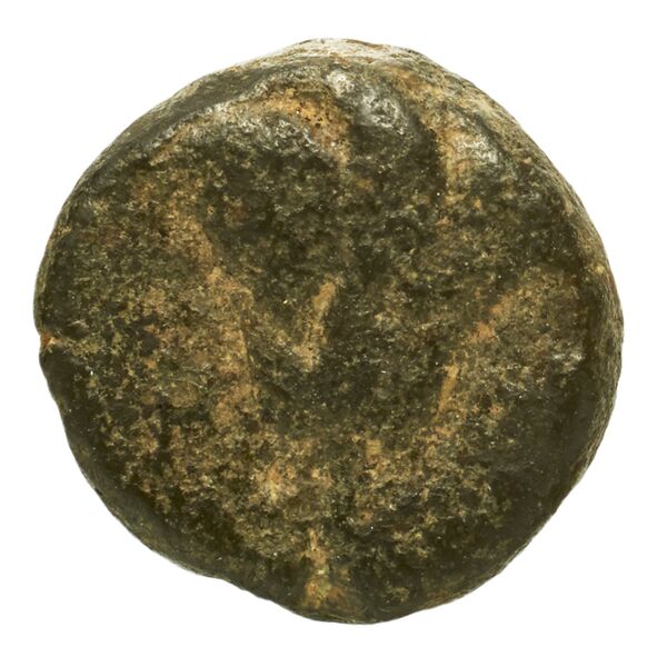 Rhodes Ashton 2001 317-31, реверс, bnf-iris