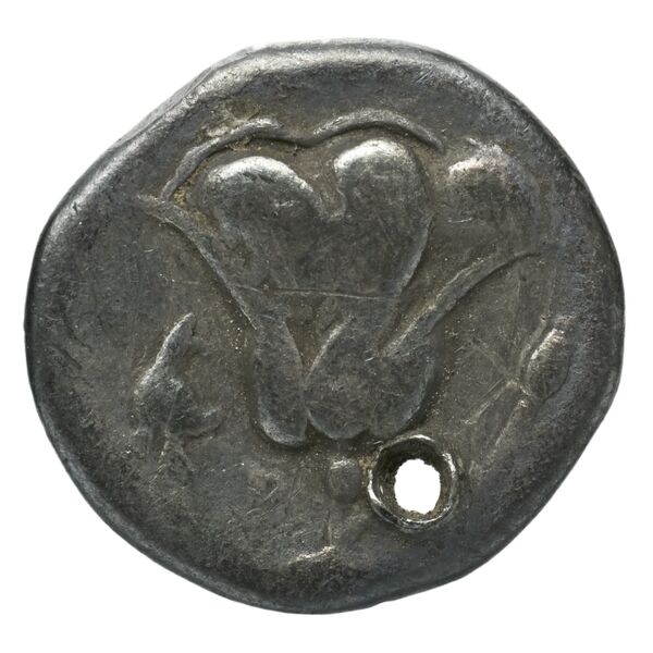 Rhodes Ashton 2001 100-01, реверс, bnf-iris