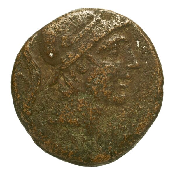 Amisus Waddington 1925 30-31, аверс, bnf-iris