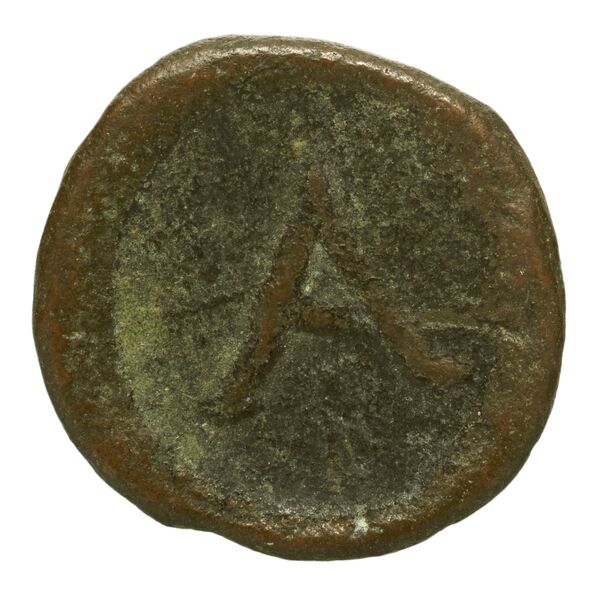 Argos BMC Argos 96-105, реверс, bnf-iris