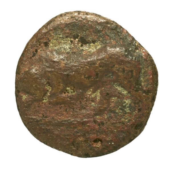 Phlius BMC Phlius 13-7, аверс, bnf-iris