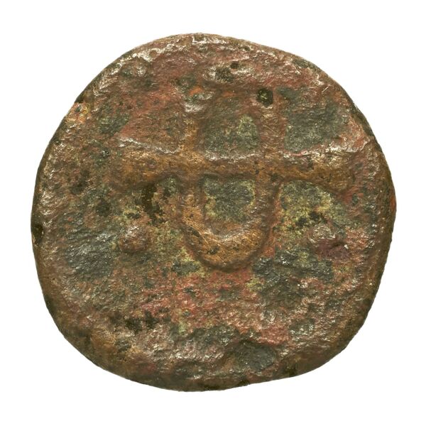 Phlius BMC Phlius 13-7, реверс, bnf-iris
