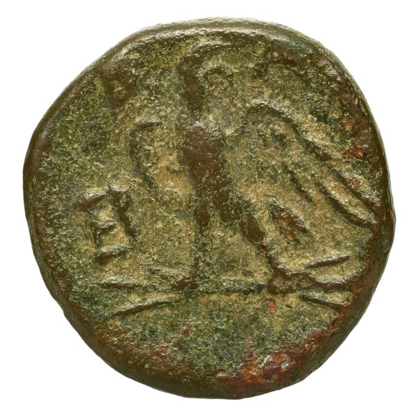 Perseus Macedon AMNG III.2 8, реверс, bnf-iris