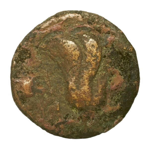 Rhodes Ashton 2001 332, реверс, bnf-iris