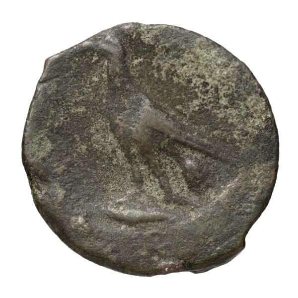 Locri Epizephyrii Historia Numorum Italy 2352, реверс, BnF (IRIS)