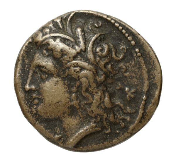 аверс Metapontum Historia Numorum Italy 1564
