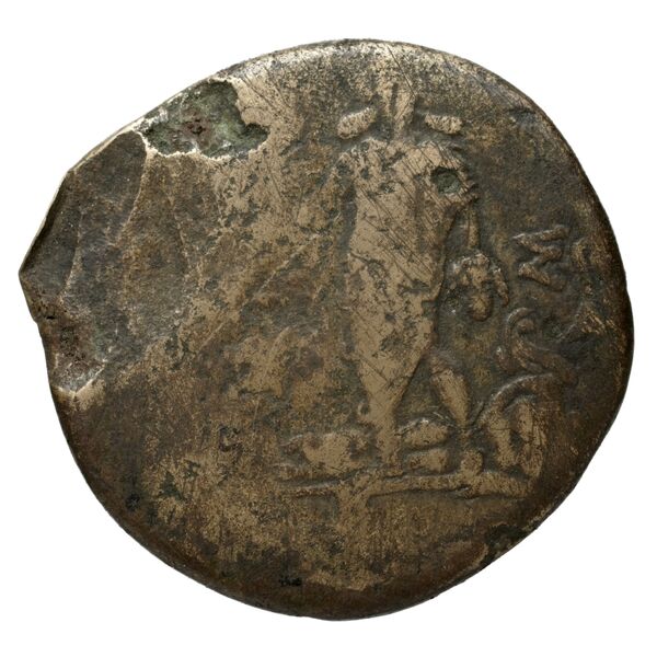 Amisus Waddington 1925 17, реверс, bnf-iris