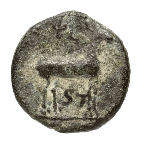 Ephesus Kinns and Holt 2023 Period V, AE XIV, реверс, BnF (IRIS)