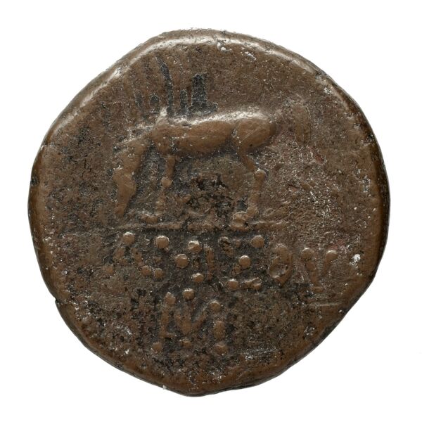 Amisus Waddington 1925 32, реверс, bnf-iris