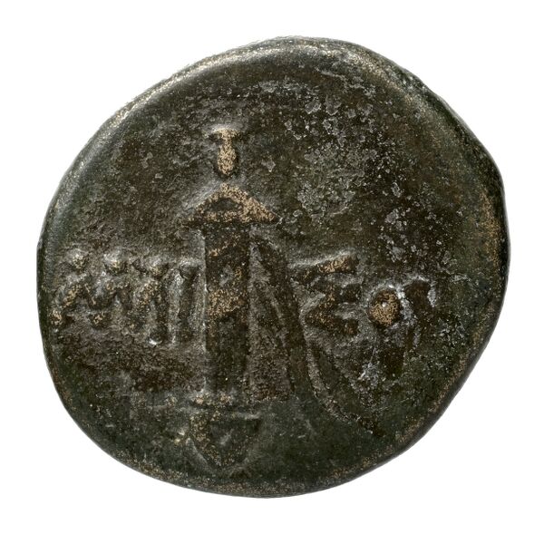 Amisus Waddington 1925 29, реверс, bnf-iris