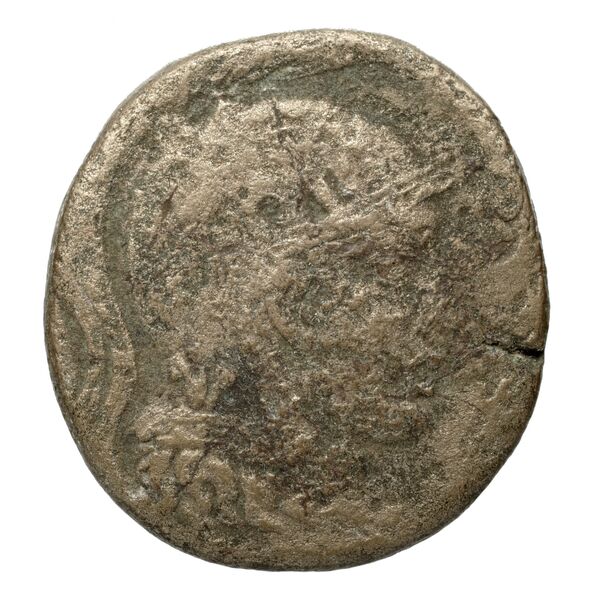 Amisus Waddington 1925 17, аверс, bnf-iris