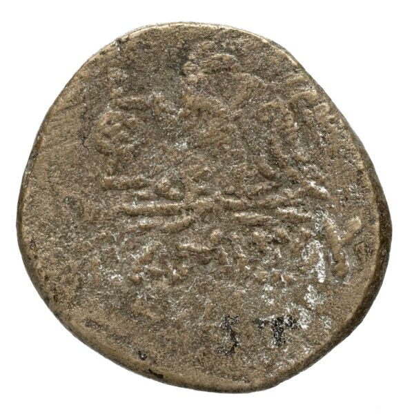 Amisus Waddington 1925 15, реверс, bnf-iris