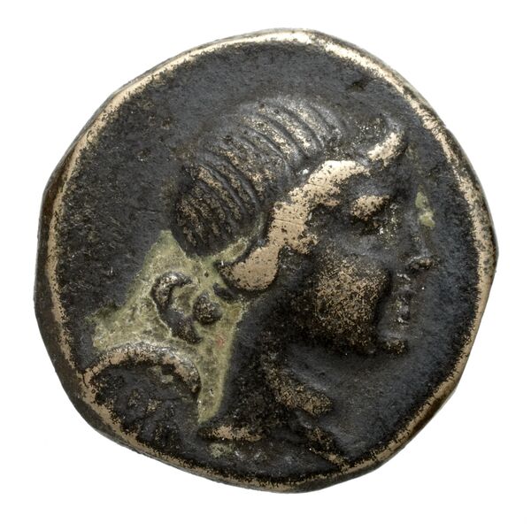 Amisus Waddington 1925 37, аверс, bnf-iris