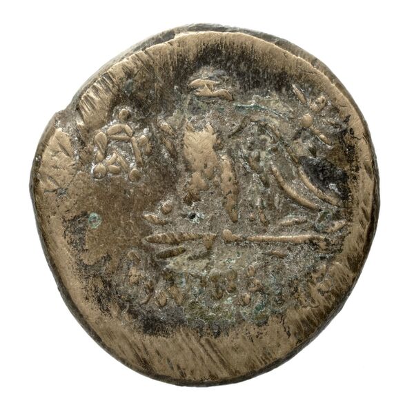 Amisus Waddington 1925 16, реверс, bnf-iris