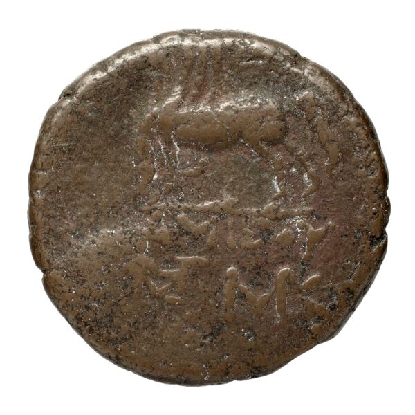 Amisus Waddington 1925 32, реверс, bnf-iris