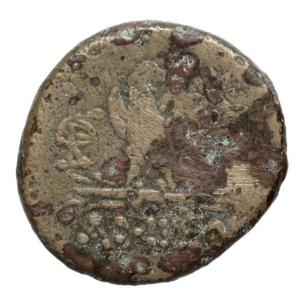 Amisus Waddington 1925 15, реверс, bnf-iris