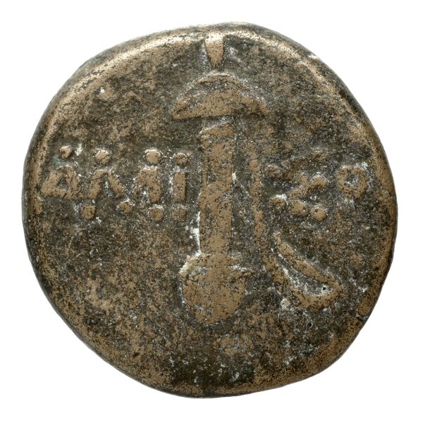 Amisus Waddington 1925 29, реверс, bnf-iris