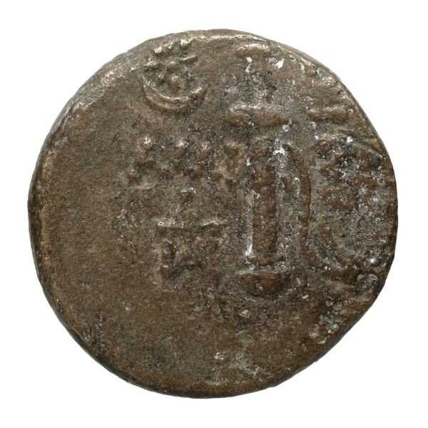 Amisus Waddington 1925 29, реверс, bnf-iris