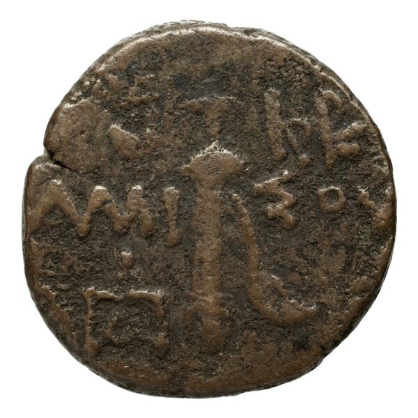 Amisus Waddington 1925 30-31, реверс, bnf-iris