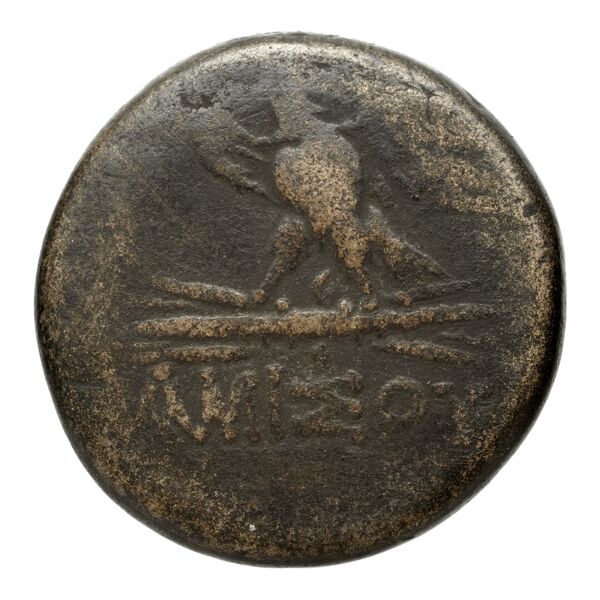 Amisus Waddington 1925 15, реверс, bnf-iris