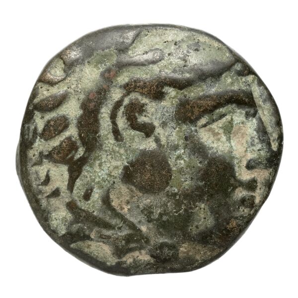 Amyntas III of Macedon Macedon SNG ANS 100-109, аверс, bnf-iris