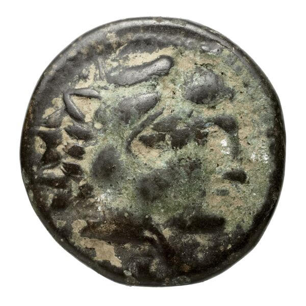 Amyntas III of Macedon Macedon SNG ANS 100-109, аверс, bnf-iris