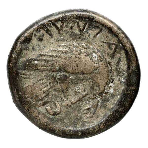Amyntas III of Macedon Macedon SNG ANS 100-109, реверс, bnf-iris