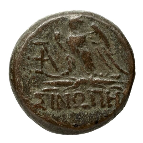 Sinope Waddington 1925 60, реверс, bnf-iris