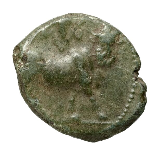 Neapolis Historia Numorum Italy 589, реверс, bnf-iris