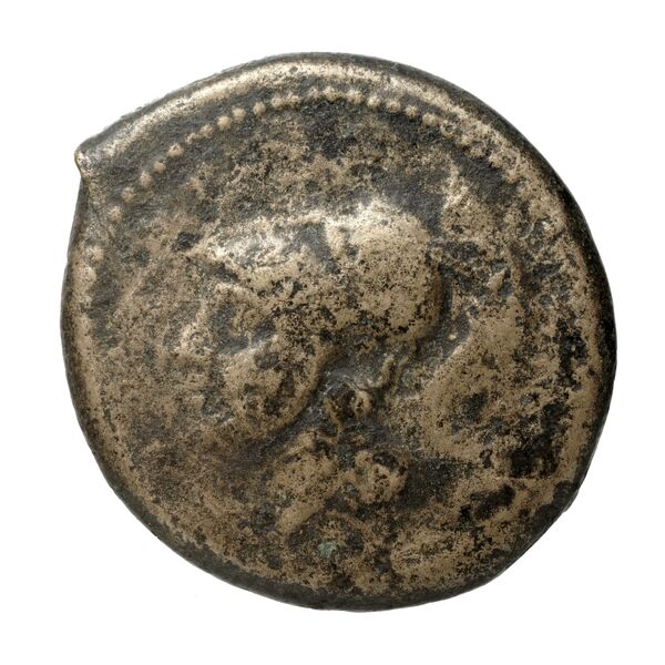 Cales Historia Numorum Italy 435, аверс, bnf-iris